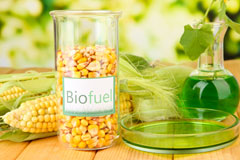 Saltdean biofuel availability