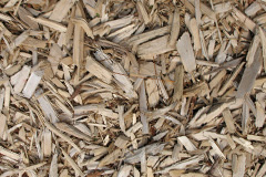biomass boilers Saltdean