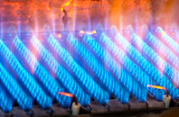 Saltdean gas fired boilers
